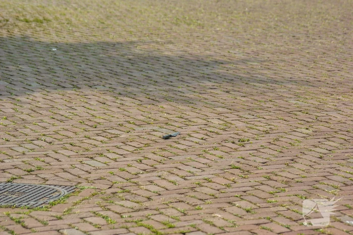 Onderzoek naar melding steekincident