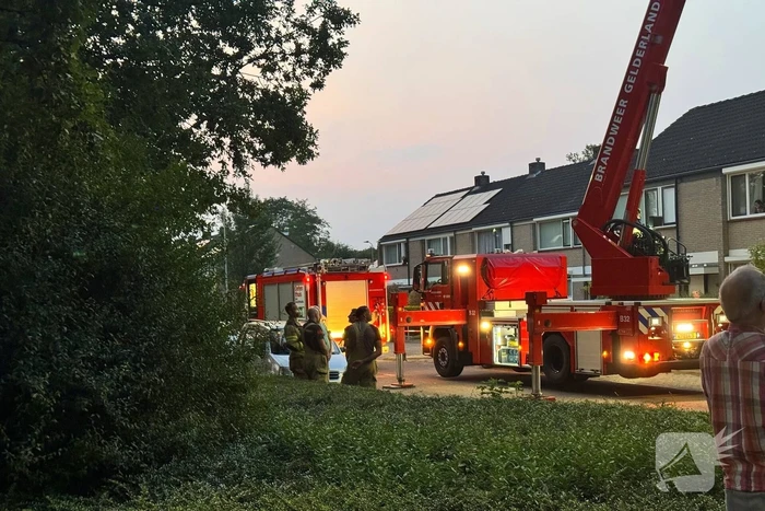 natuur 't stegeslag zevenaar