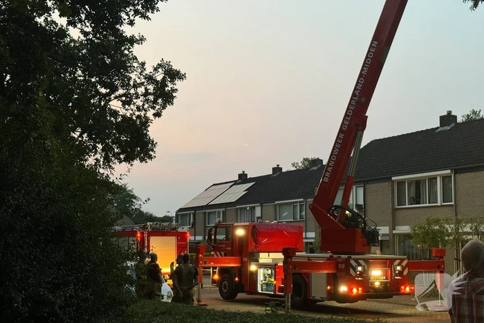 Brandweer verwijdert gevaarlijk hangende tak uit boom