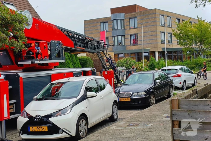 Kat moet van dak gered worden