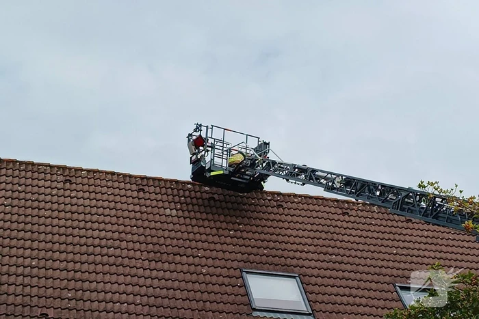Kat moet van dak gered worden