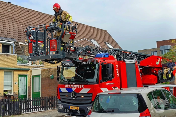 Kat moet van dak gered worden