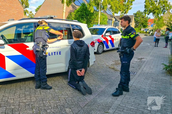 nieuws ribes poortugaal