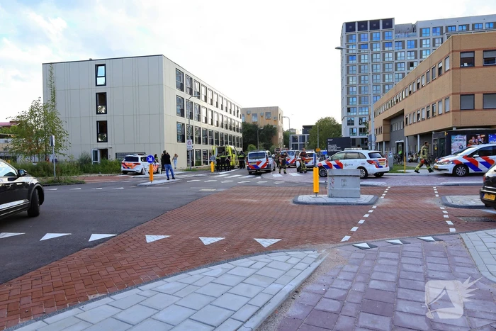 Hondengeleider overmeesterd persoon met onbegrepen gedrag