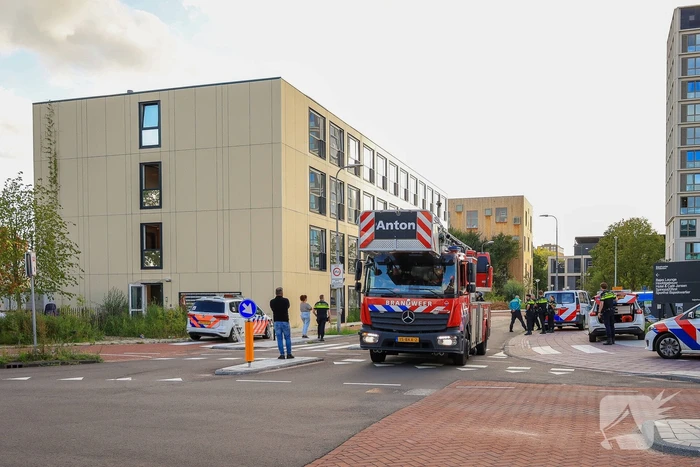 Hondengeleider overmeesterd persoon met onbegrepen gedrag