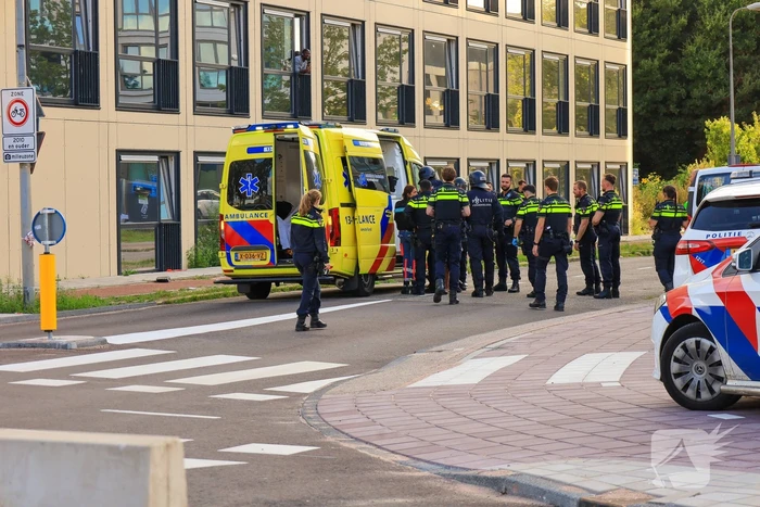 Hondengeleider overmeesterd persoon met onbegrepen gedrag