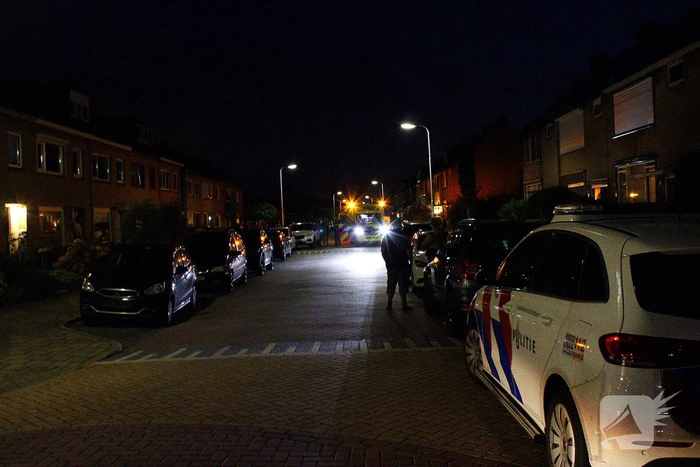 Automobilist botst tegen geparkeerde auto
