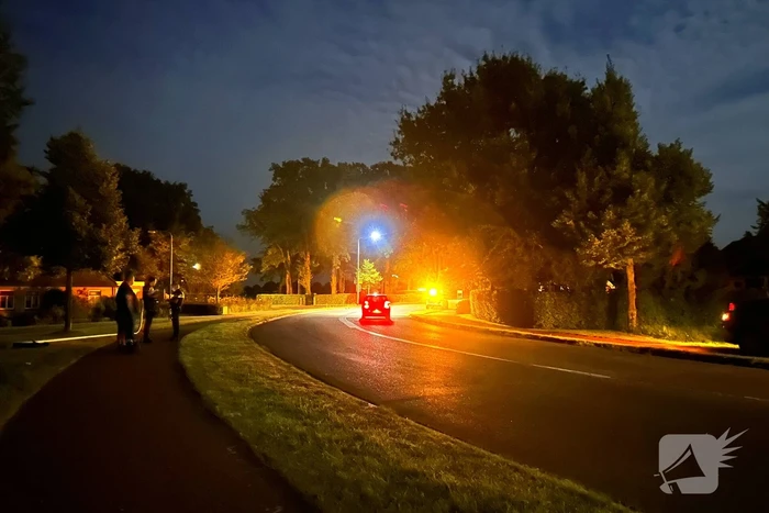 Auto ramt lantaarnpaal en eindigt in bosschages