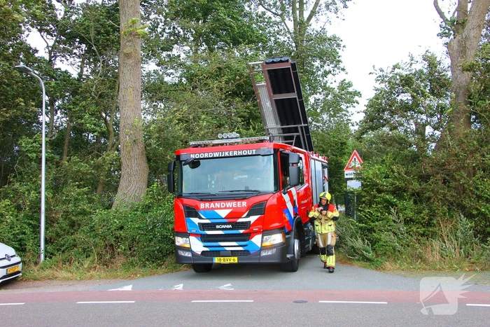 natuur vogelaardreef noordwijk