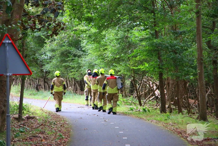 Brandweer verwijdert loshangende tak