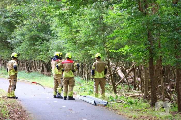 Brandweer verwijdert loshangende tak