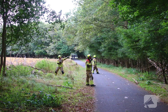 Brandweer verwijdert loshangende tak
