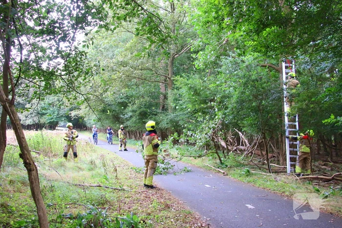 Brandweer verwijdert loshangende tak