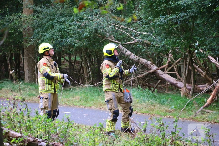 Brandweer verwijdert loshangende tak