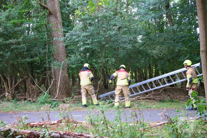 Brandweer verwijdert loshangende tak