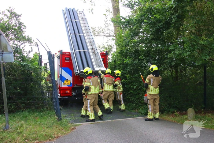 Brandweer verwijdert loshangende tak