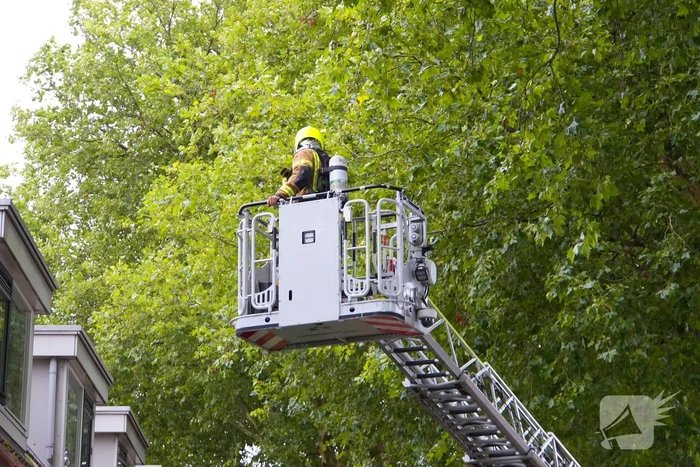 Persoon ademt rook in bij keukenbrand