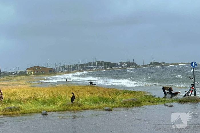 nieuws badweg vlieland