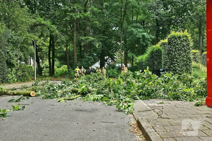 Brandweer verwijdert gevaarlijk hangende tak met hoogwerker