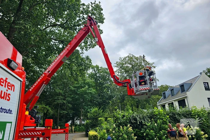 Brandweer verwijdert gevaarlijk hangende tak met hoogwerker