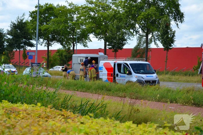 Paardentrailer raakt instabiel, brandweer schiet te hulp