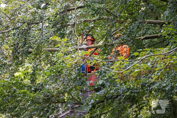 Brandweer in actie voor laaghangende tak