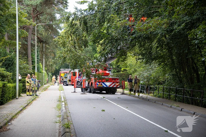 Brandweer in actie voor laaghangende tak