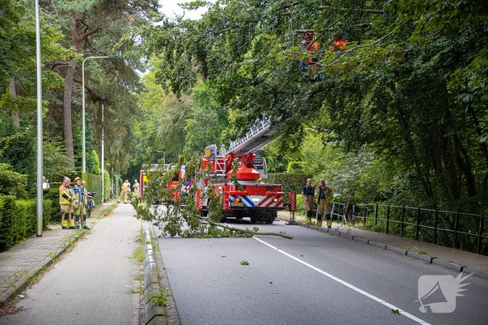 Brandweer in actie voor laaghangende tak