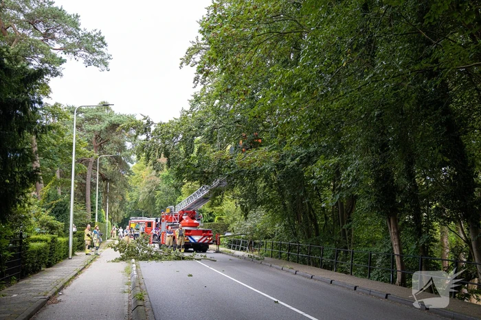 Brandweer in actie voor laaghangende tak