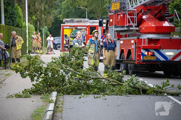 Brandweer in actie voor laaghangende tak