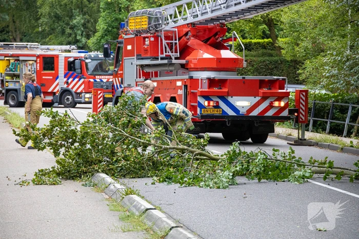 Brandweer in actie voor laaghangende tak