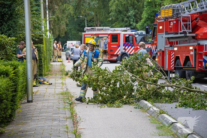 Brandweer in actie voor laaghangende tak