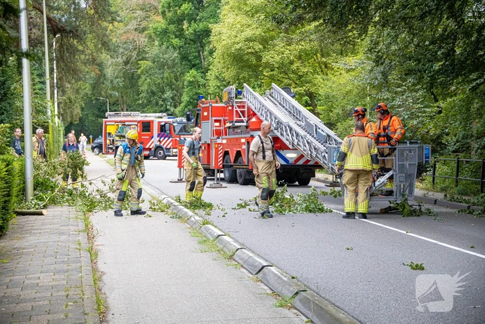 Brandweer in actie voor laaghangende tak