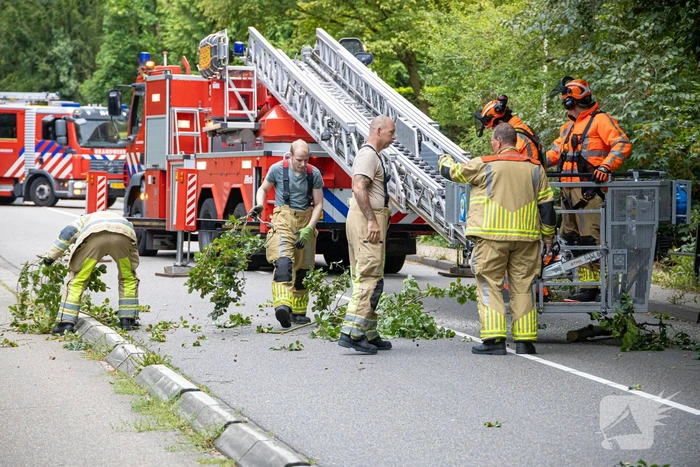 Brandweer in actie voor laaghangende tak