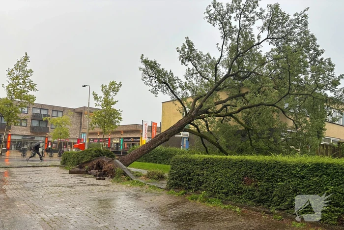 Boom valt op woning, situatie veilig