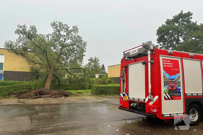 Boom valt op woning, situatie veilig