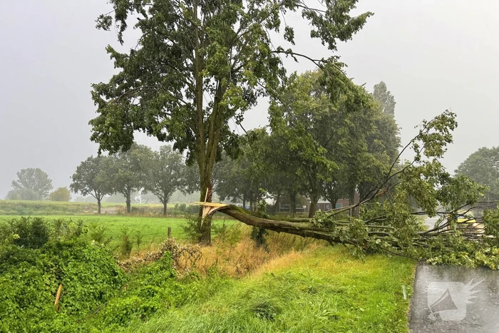Weg verspert door omgevallen boom