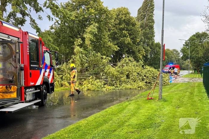 Weg verspert door omgevallen boom