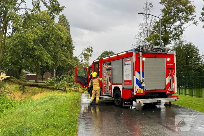 Weg verspert door omgevallen boom