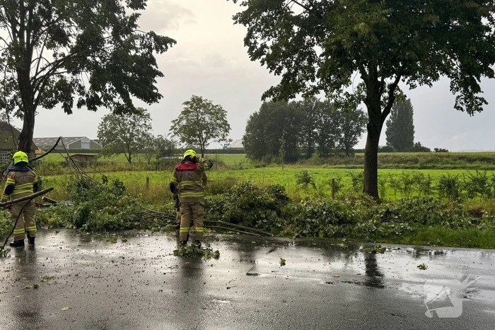 Weg verspert door omgevallen boom