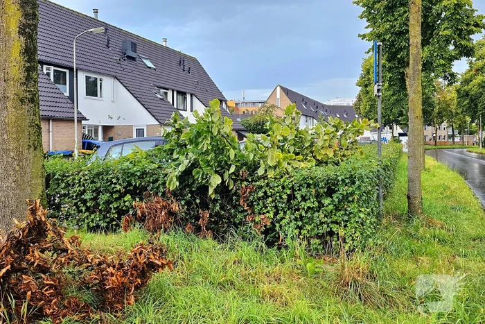 Tak valt op auto van invalide