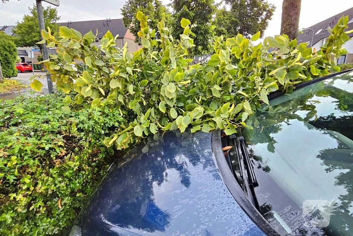 Tak valt op auto van invalide
