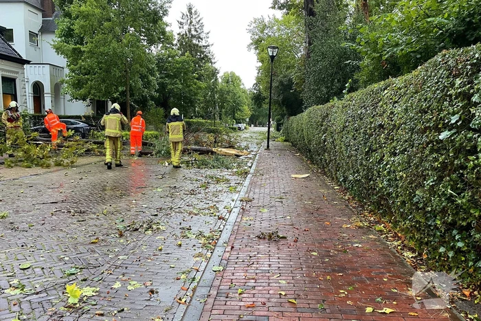 natuur zuideinde meppel