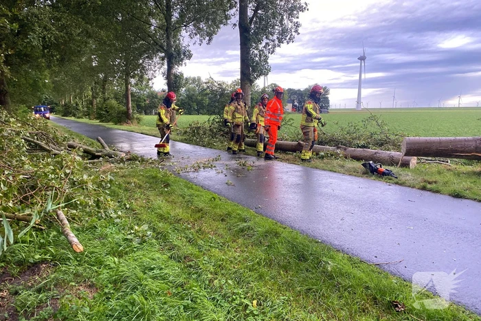 natuur zuidermeerweg urk