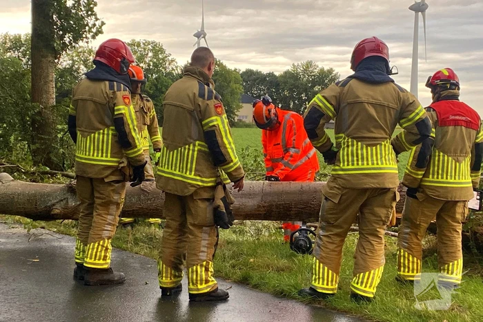 Brandweer zaagt omgewaaide boom in stukken