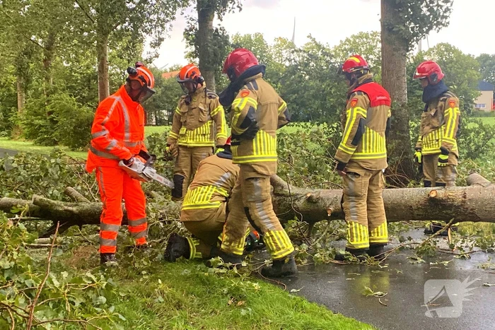 Brandweer zaagt omgewaaide boom in stukken