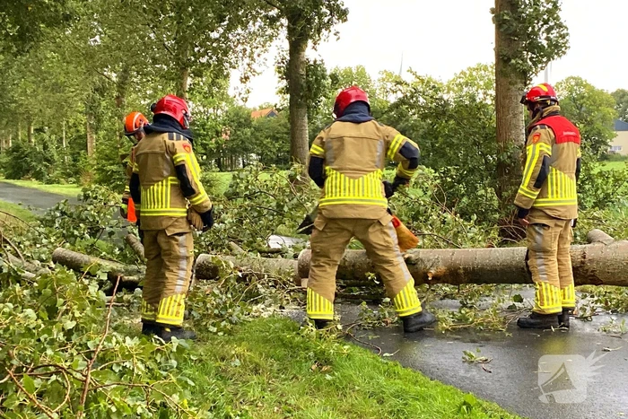 Brandweer zaagt omgewaaide boom in stukken
