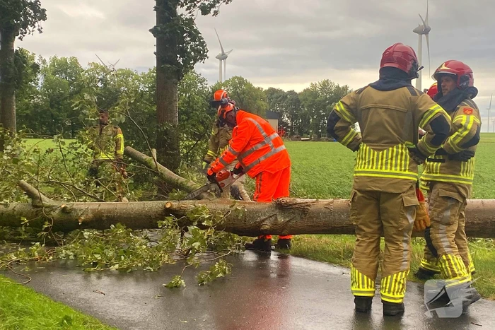 Brandweer zaagt omgewaaide boom in stukken