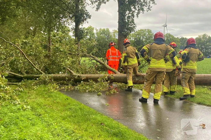 Brandweer zaagt omgewaaide boom in stukken