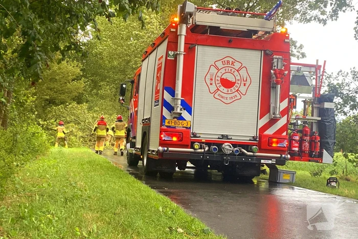 Brandweer zaagt omgewaaide boom in stukken